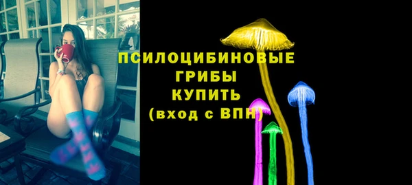 твердый Горняк