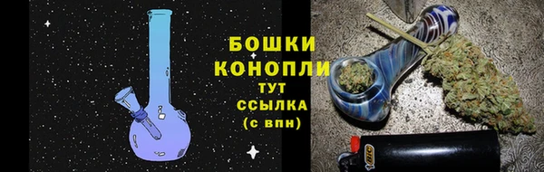 твердый Горняк