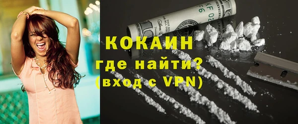 твердый Горняк